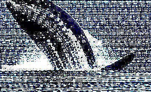 The Tape Splits: Bitcoin Bleeds, Ethereum Breathes — But Don't Mistake a Pulse for a Recovery The Tape Splits: Bitcoin Bleeds, Ethereum Breathes — But Don't Mistake a Pulse for a Recovery
