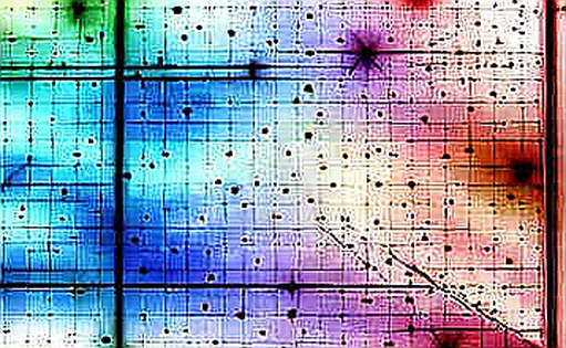 NEAR AI's 'Private Inference' Integration: A Closer Look at the Hype vs. Reality