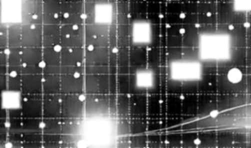 The $600 Million Signal: DraftKings and the Macro Liquidity Gambit